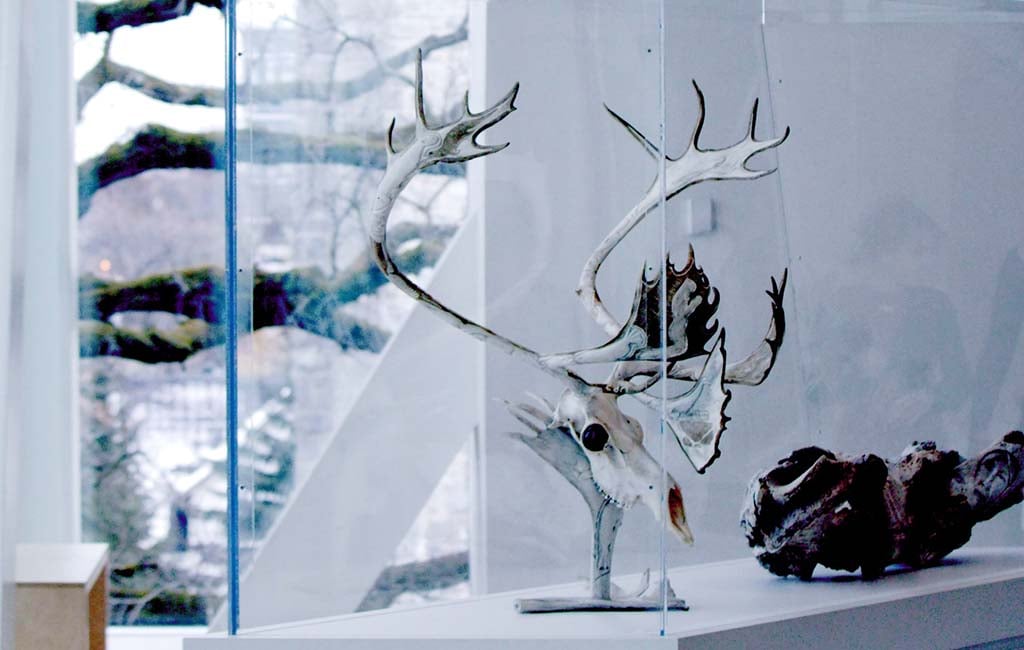 acrylic fish tank