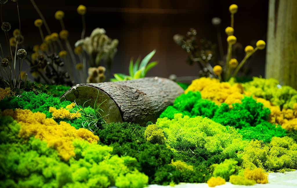 Build an Acrylic Fish Tank