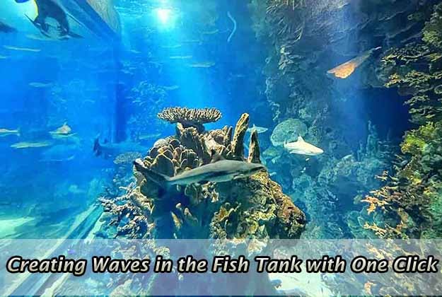 Creating Waves in the Fish Tank with One Click