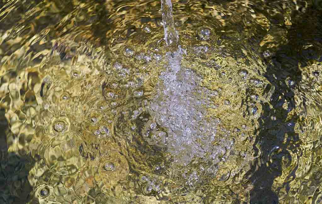 aquarium water quality problems