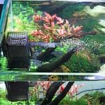 Aquarium surface skimmer