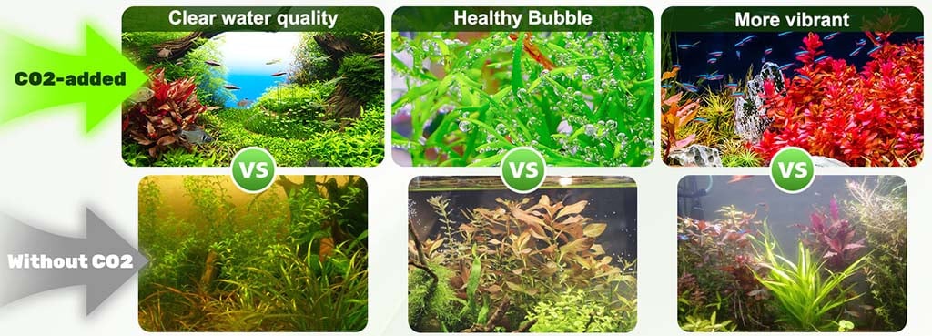 CO2 generator kit for aquatic plants