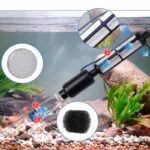 Fish tank suckers