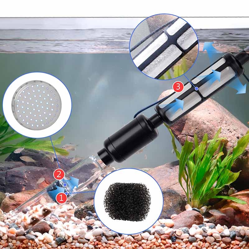 Fish tank suckers
