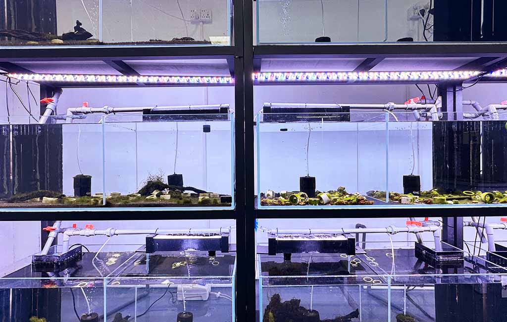 aquarium light linkage
