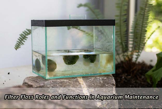 Filter Floss Roles and Functions in Aquarium Maintenance