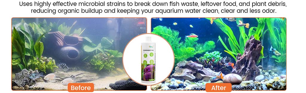 Fish tank water clarity puredigest