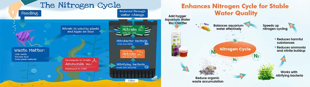 Puredigest for fish tank water cycle