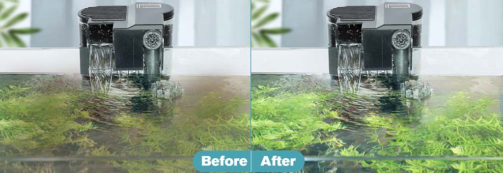 Clean aquarium water and remove oil
