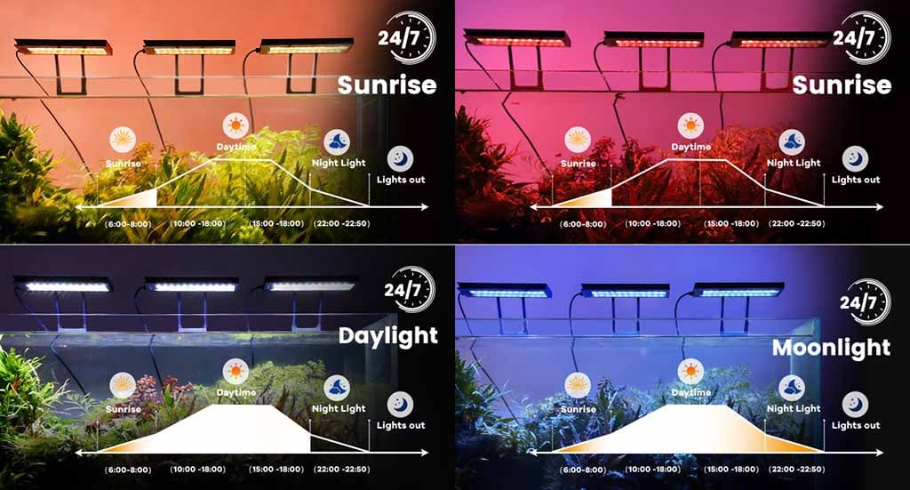 HG247 linage clip on light sunrise modes