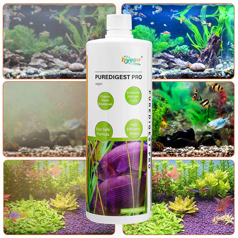 Improves water clarity