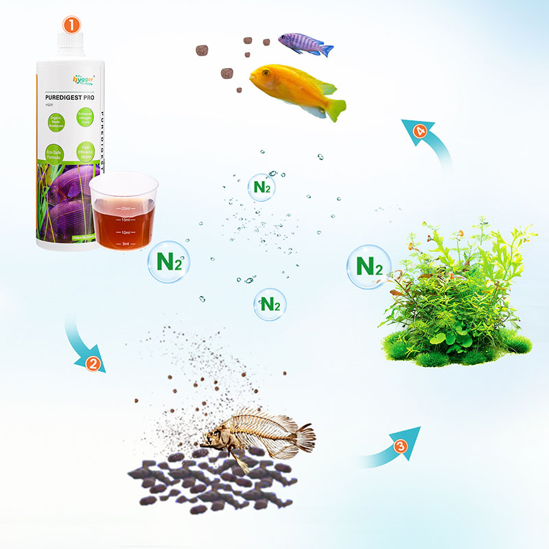 Stable water quality