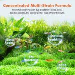 Powerful cleaning fish tank water