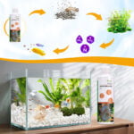 balance and stability fish tank water