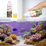 Water balance for saltwater