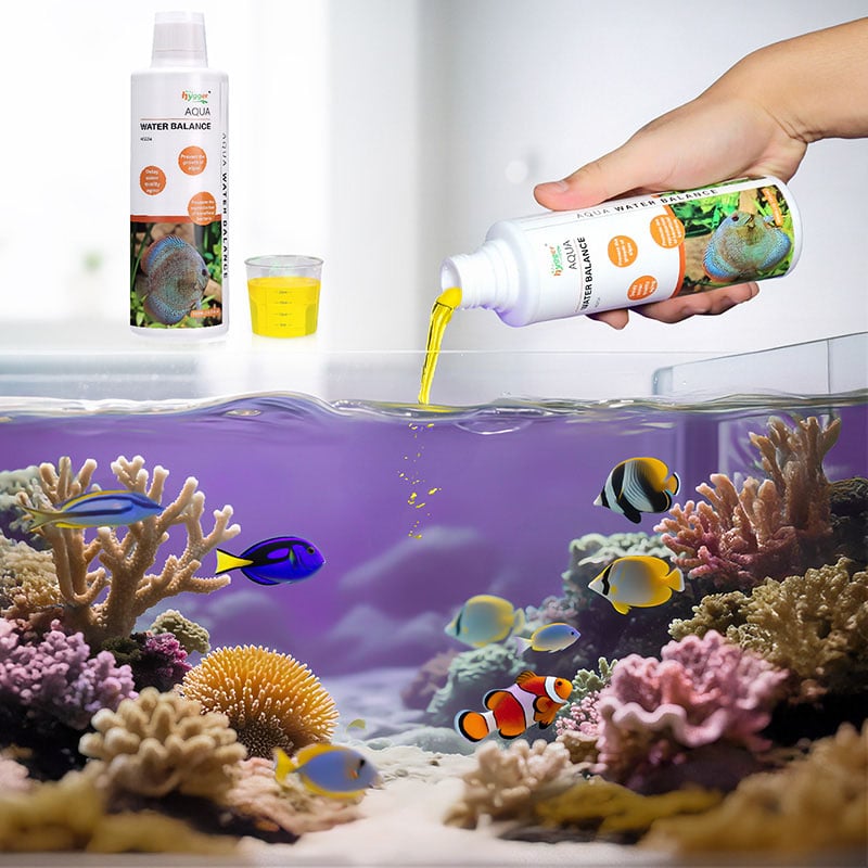 Water balance for saltwater