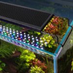 Sun Moon LED light 12-48" tanks