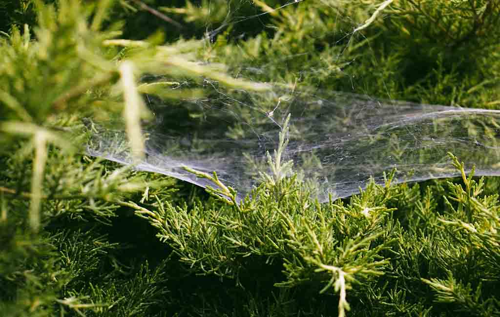 types of aquatic ecosystems