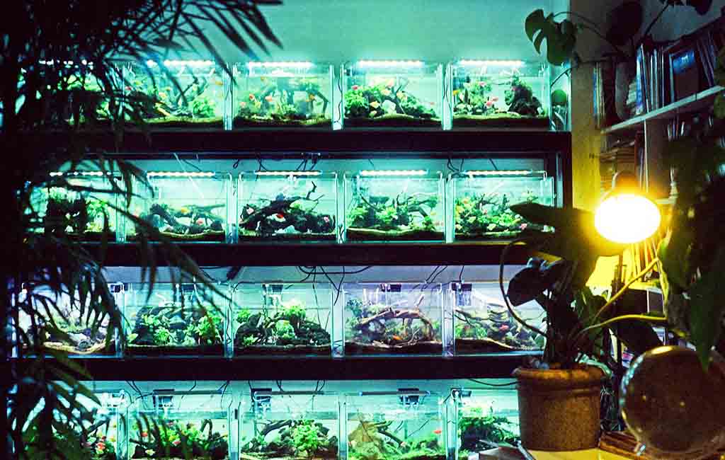 aquarium biochemical filtration