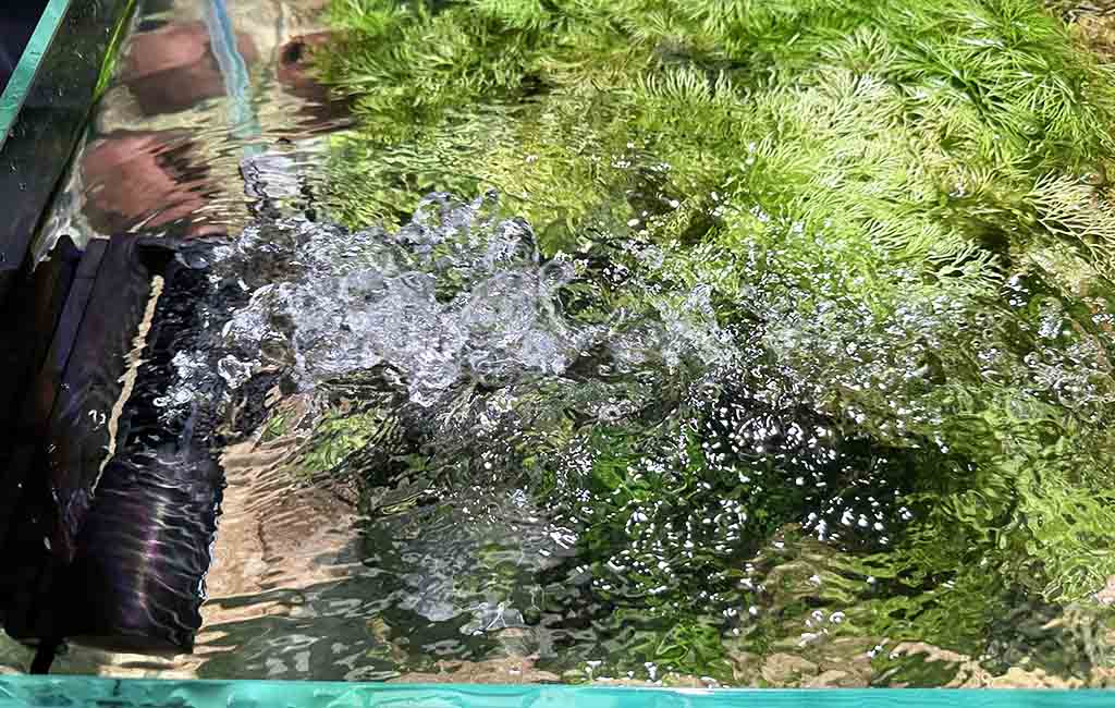 remove oily surface