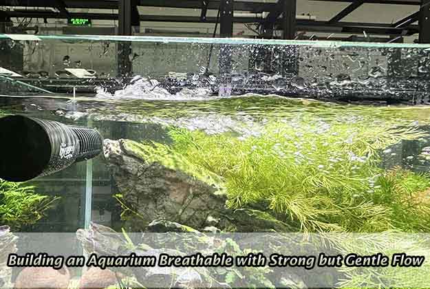Building an Aquarium Breathable with Strong but Gentle Flow