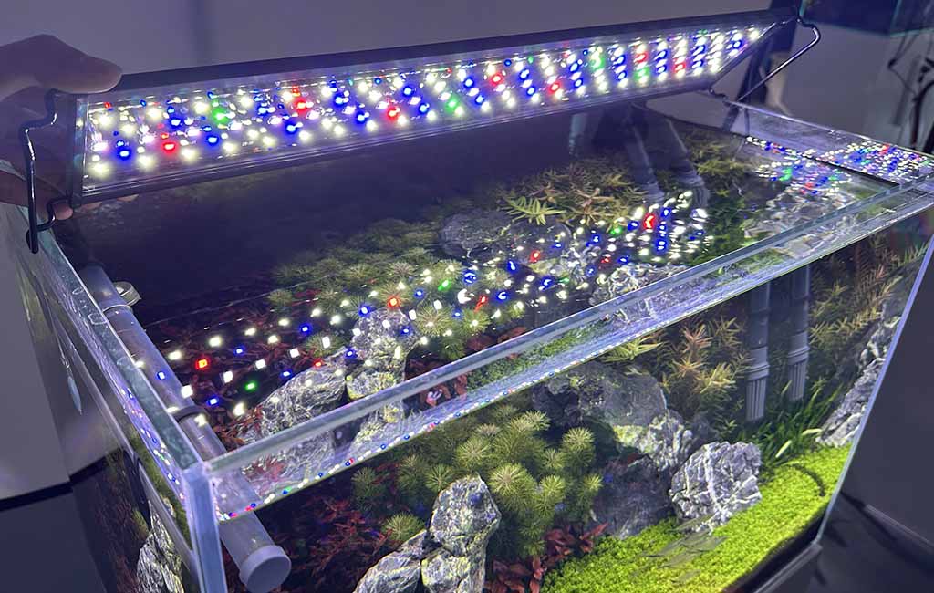 cool or warm LED