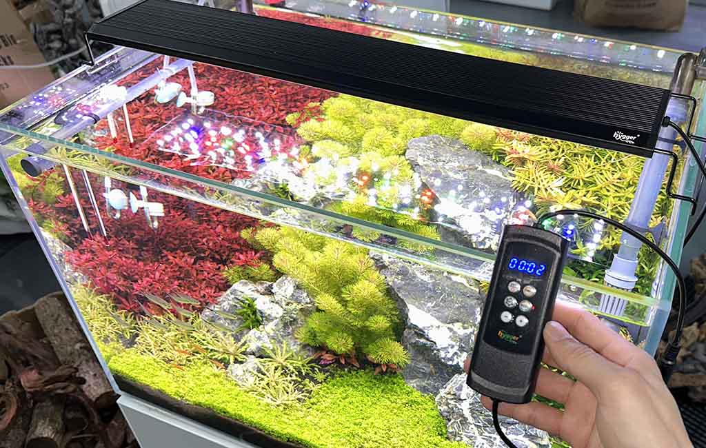 Enough Lumens of Light for Aquatic Plants