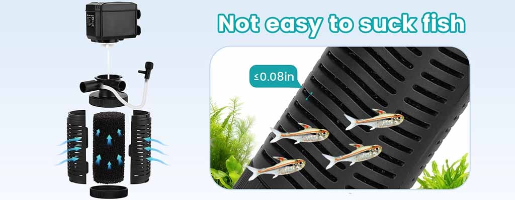 Filter safe for small fish