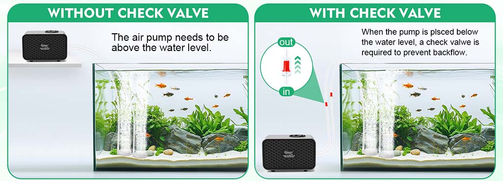 Check valve for air pump control