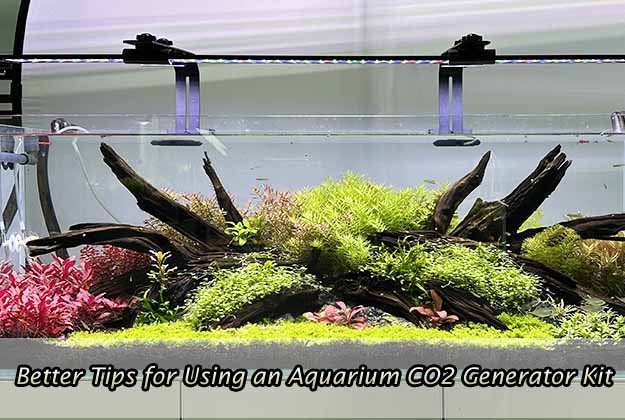 Better Tips for Using an Aquarium CO2 Generator Kit