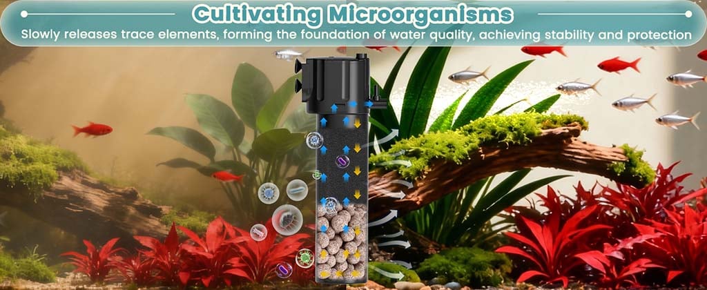 cultivating fish tank water