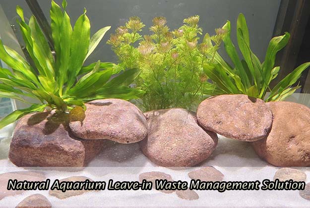 Natural Aquarium Leave-in Waste Management Solution