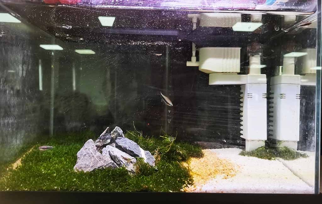 aquarium waste management