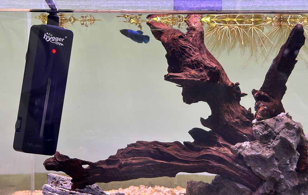 aquarium heater size calculator