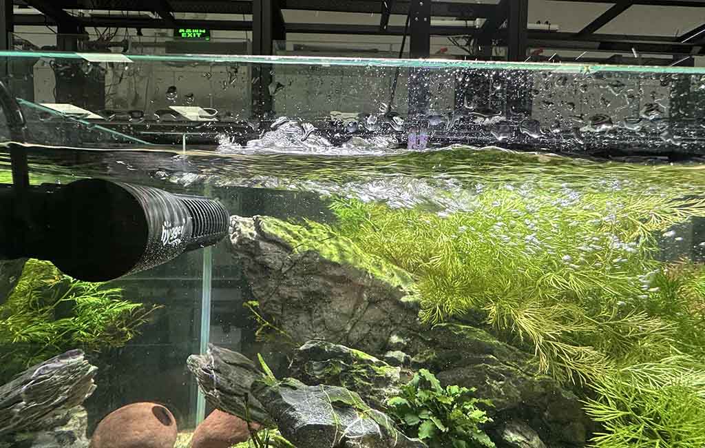 fish tank volume
