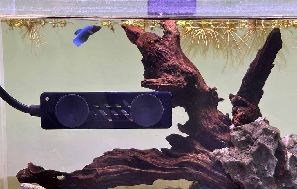 About Aquarium Heater Size Choosing
