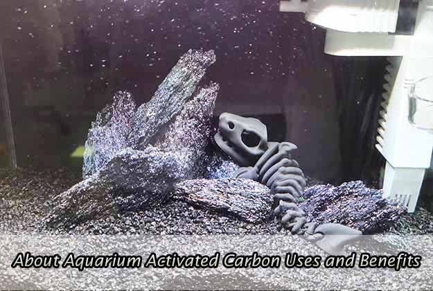 About Aquarium Activated Carbon Uses and Benefits