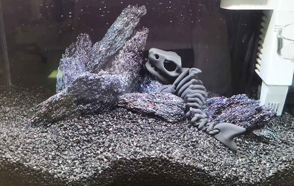 activated carbon