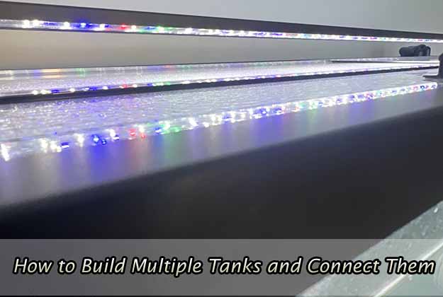 How to Build Multiple Tanks and Connect Them