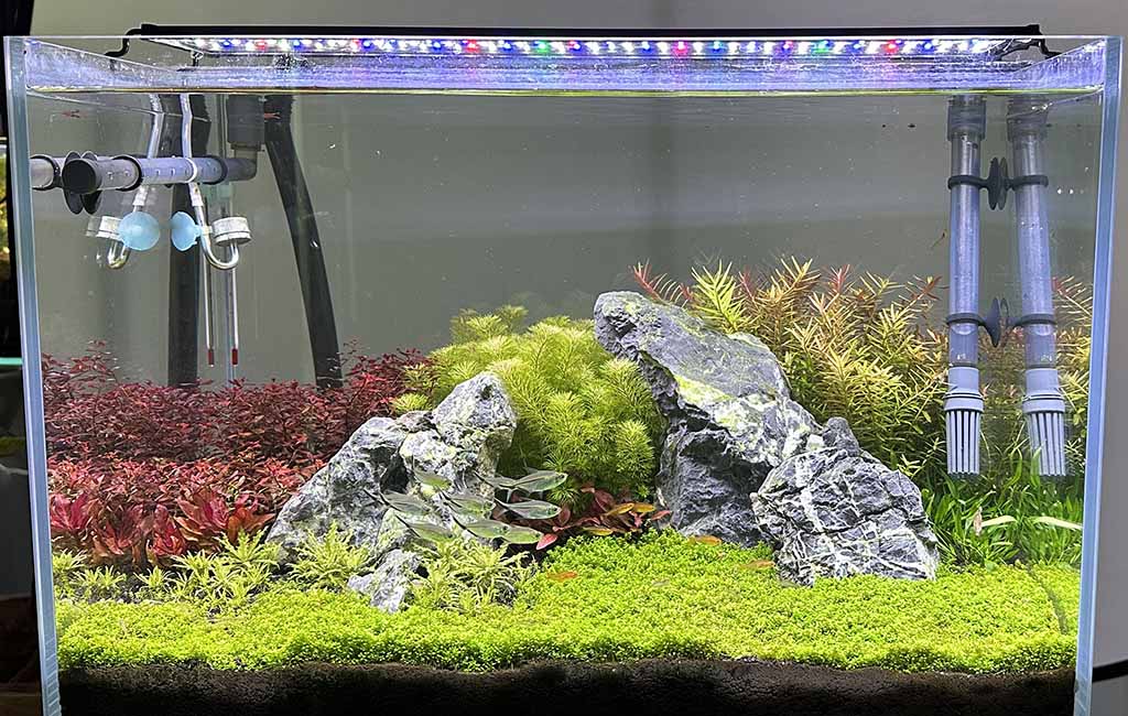 CO2 drop checker for planted aquariums