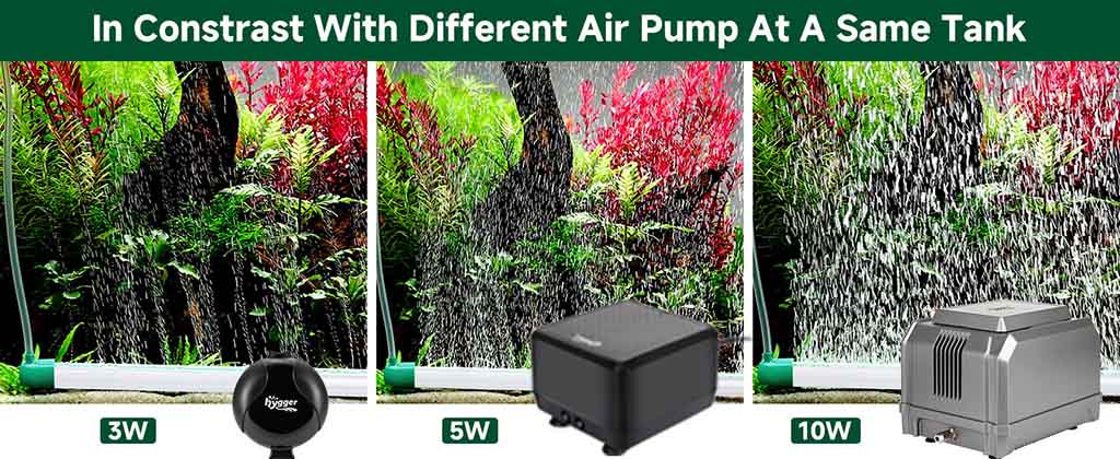 Connect bubble strip to air pump