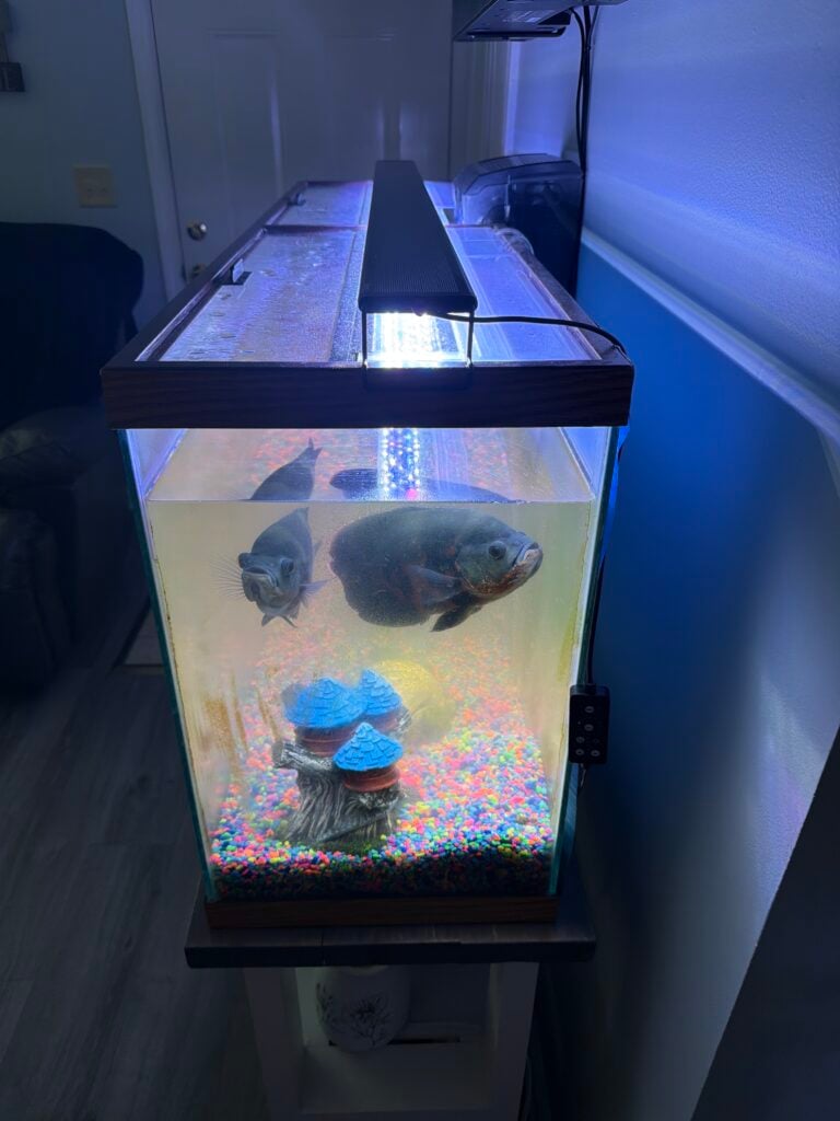 Image #2 from Eric S.