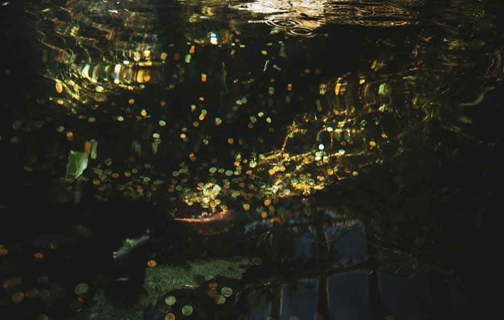 Fix the tank’s brown-tinted water