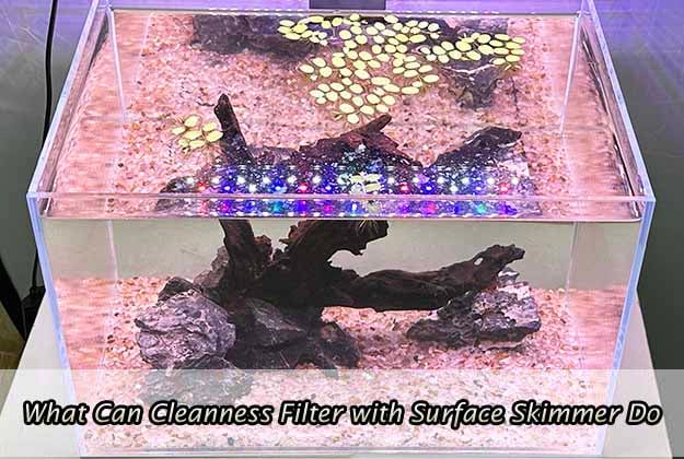 What Can Cleanness Filter with Surface Skimmer Do