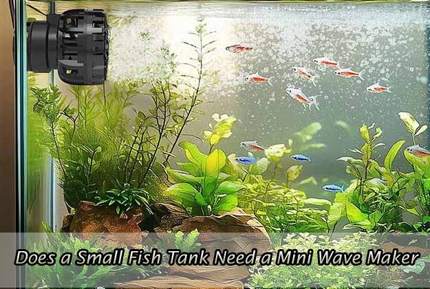 Does a Small Fish Tank Need a Mini Wave Maker