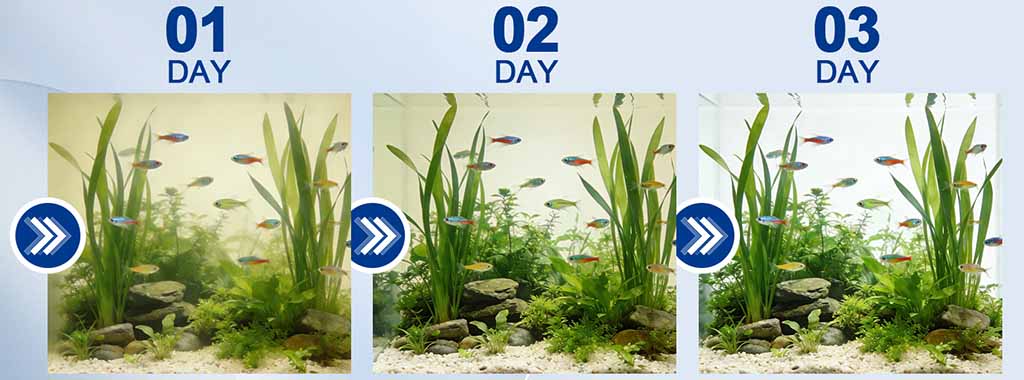 Filtration 3 days in fish tank