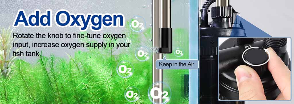 Add oxygen for small fish tank