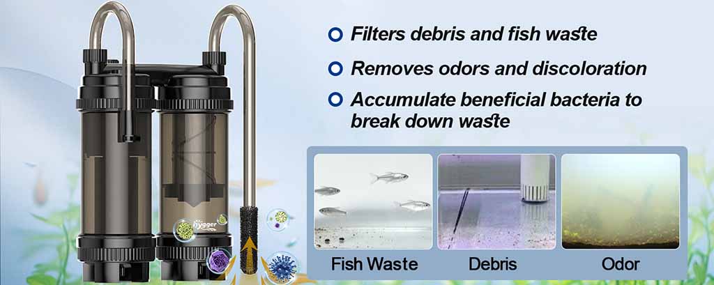 Filters to remove odor in aquariums