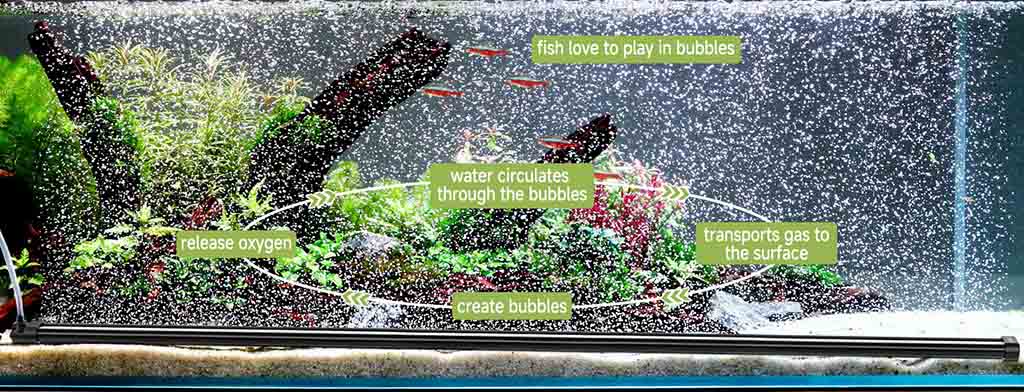 Fine bubble wall in aquariums