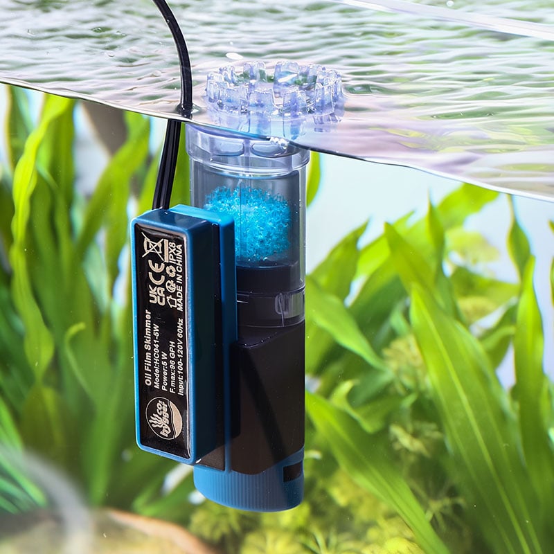 Mini oil film skimmer for small tanks